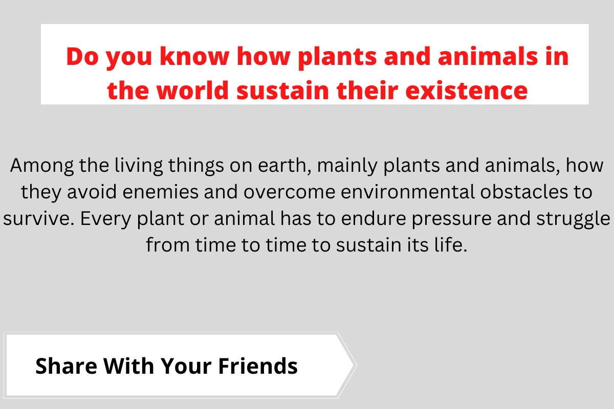 Do you know how plants and animals in the world sustain their existence