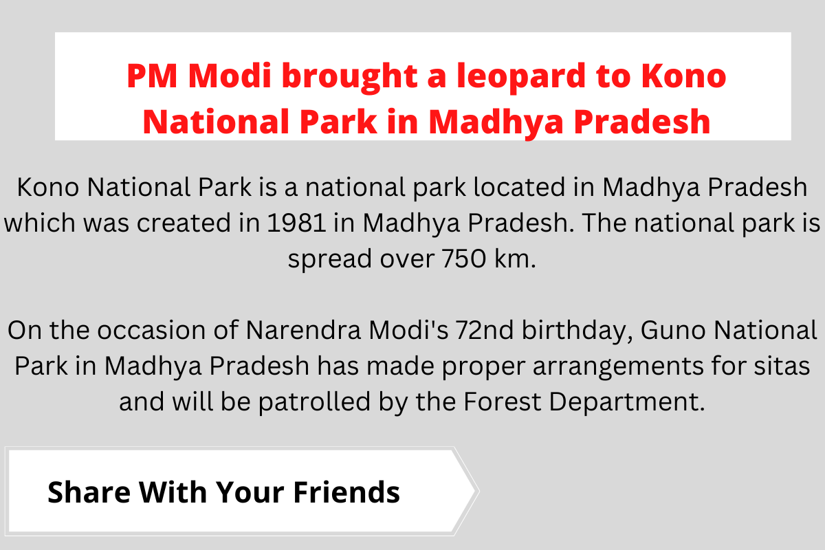 PM Modi brought a leopard to Kono National Park in Madhya Pradesh